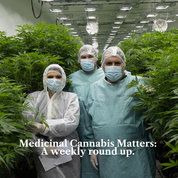 Medicinal Cannabis Matters: Friday Roundup - 14 August 2026