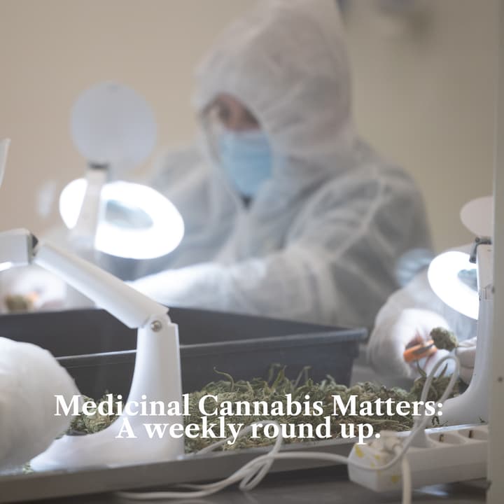Medicinal Cannabis Matters: Friday Roundup - 28 August 2026