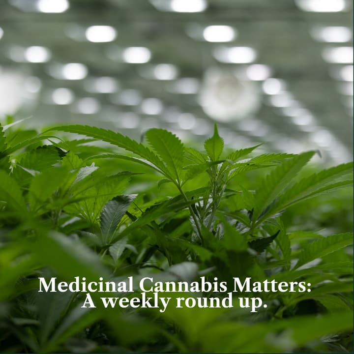 Medicinal Cannabis Matters: Friday Roundup - 4 September 2026