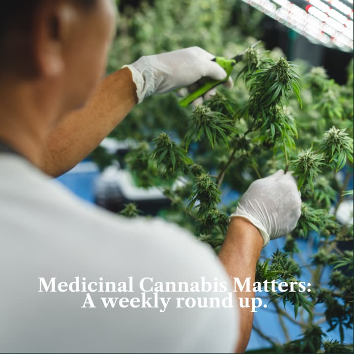 Medicinal Cannabis Matters: Friday Roundup - 7 August 2026