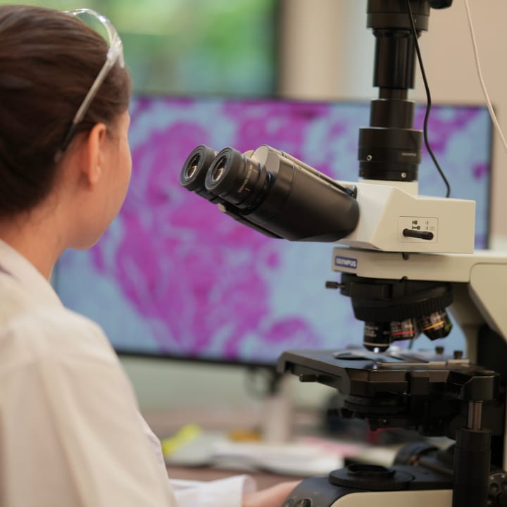 a biomedical researcher uses a high-powered telescope.
