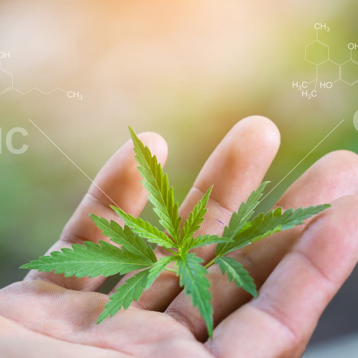 What is THC
