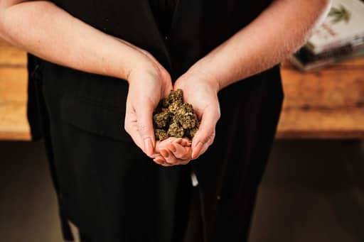 23 08 30 MediCann 0244 XT502120