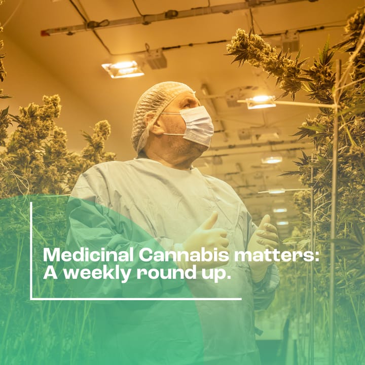 Medicinal Cannabis Matters: Friday Roundup - 17 October 2025