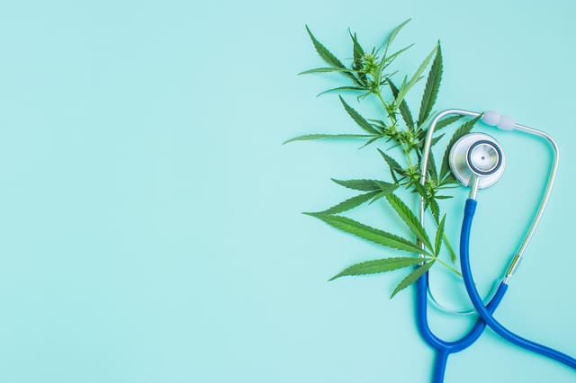 Marijuana leaves sitting on top of a medical stethoscope