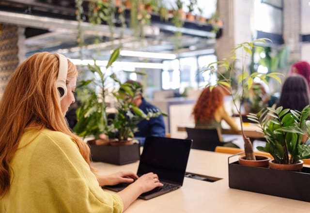 Medical cannabis and employment: your rights at work
