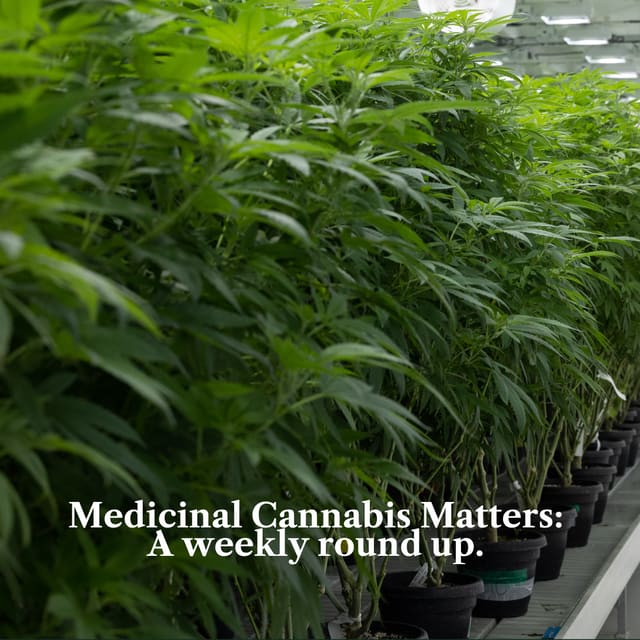 Medicinal Cannabis Matters: Friday Roundup - 11 September 2026