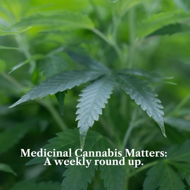 Medicinal Cannabis Matters: Friday Roundup - 31 July 2026