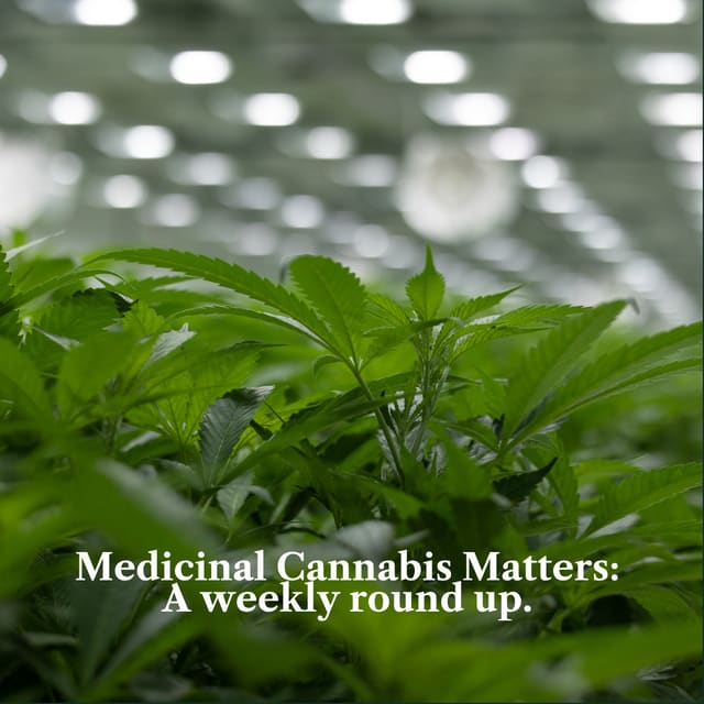 Medicinal Cannabis Matters: Friday Roundup - 4 September 2026